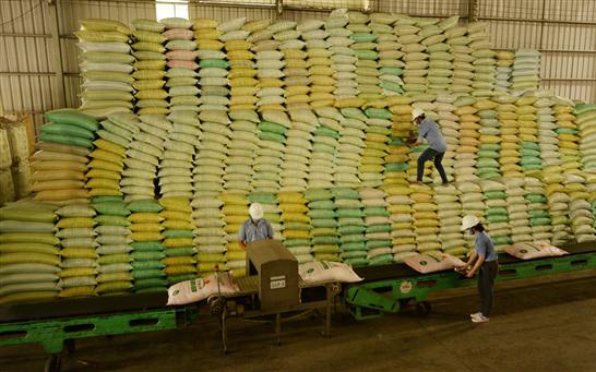 Nhập gạo Ấn Độ vào Việt Nam tăng đột biến, Bộ Công thương lập đoàn kiểm tra