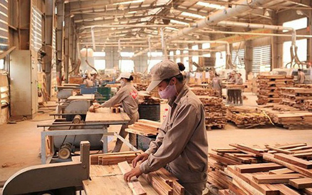 Tín hiệu tích cực từ xuất khẩu gỗ và các sản phẩm từ gỗ