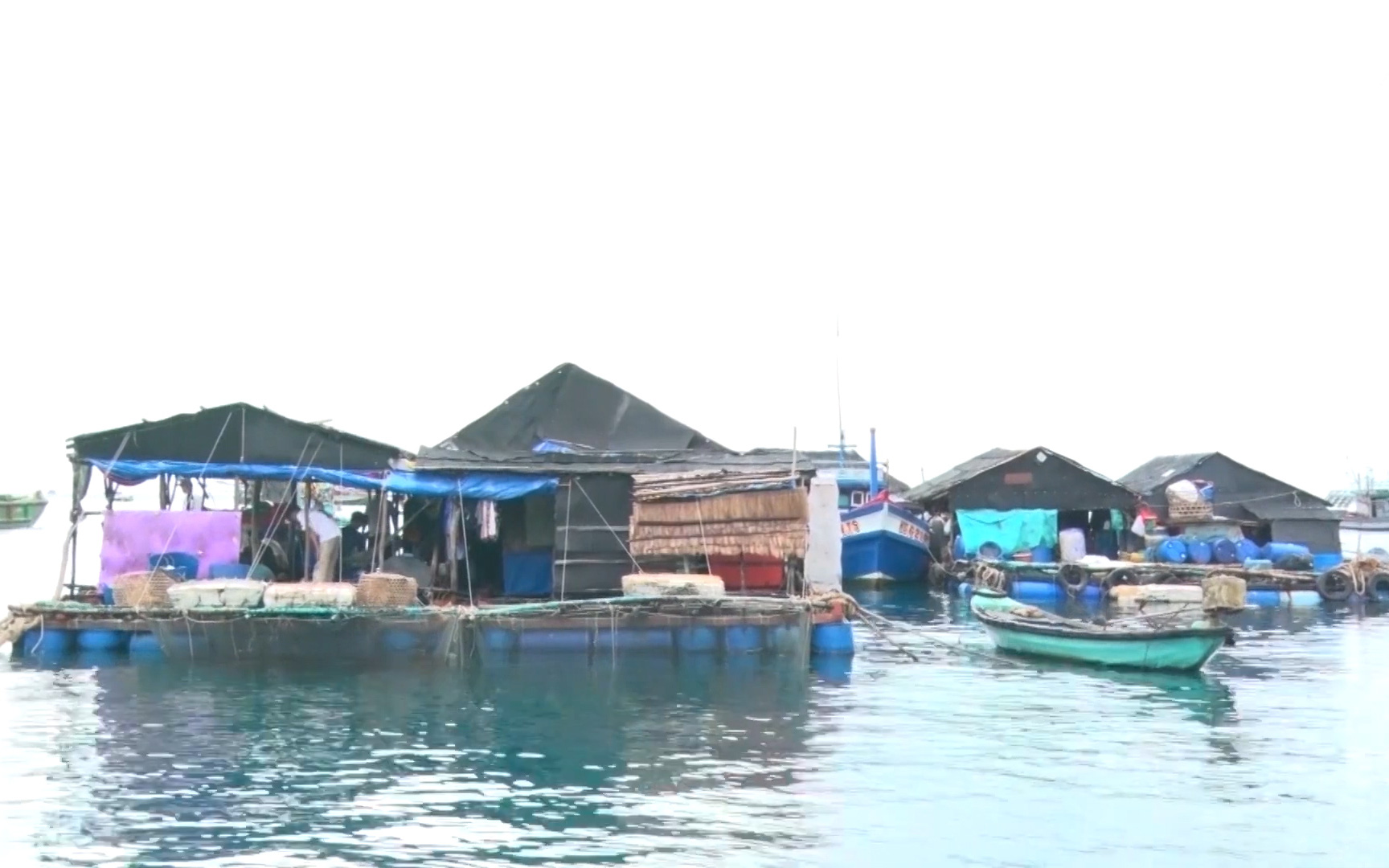 Kiên Giang: Tổ hợp tác nuôi cá lồng bè ở Thổ Châu, từng bước nâng cao thu nhập, cải thiện đời sống