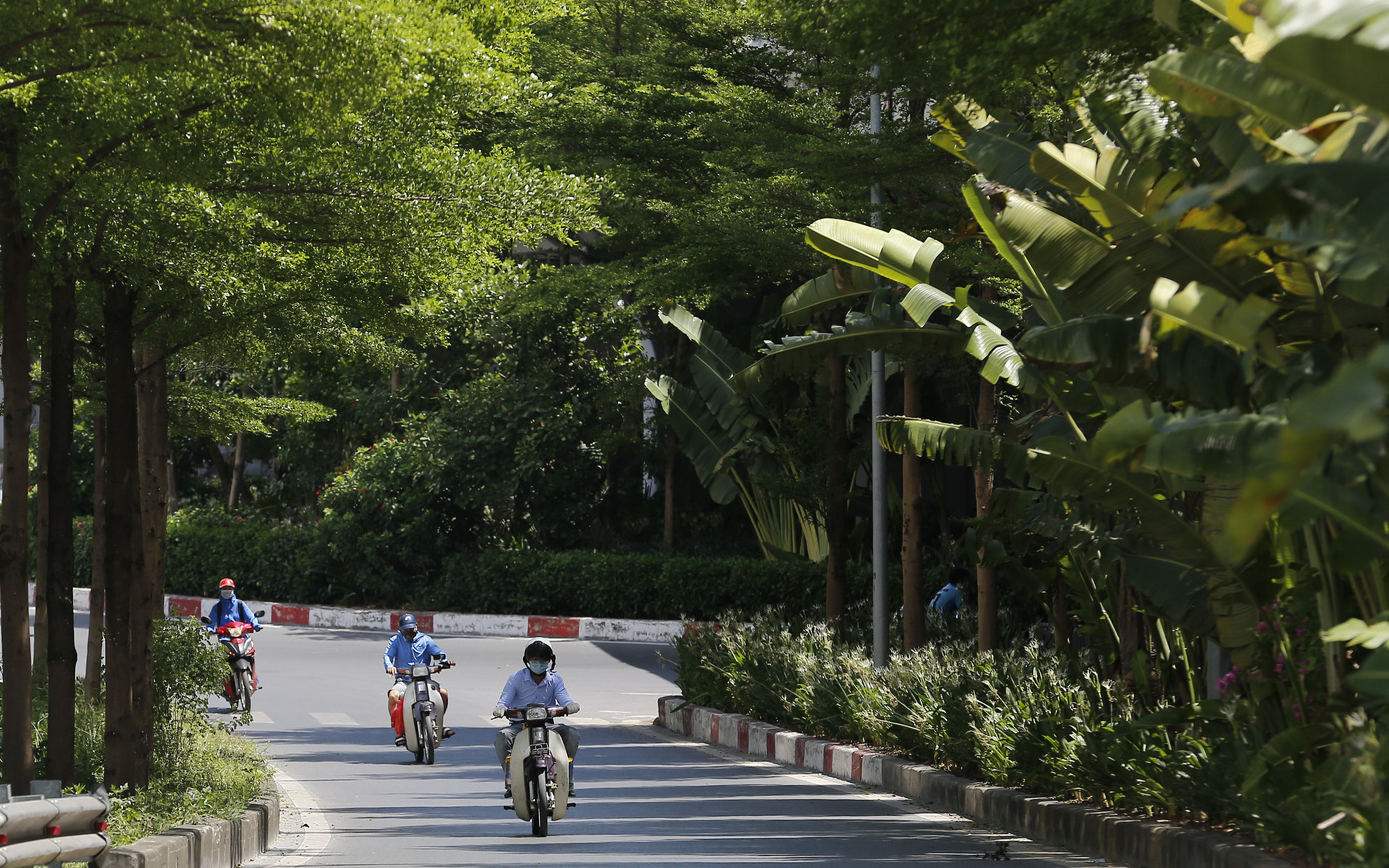 Đường phố Hà Nội thay đổi thế nào sau 5 năm thực hiện dự án trồng mới 1 triệu cây xanh?