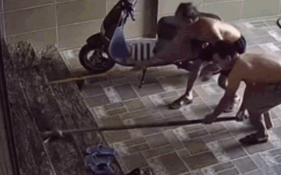 Video: Nghệ An liên tục có rắn bò vào nhà, hung hăng tấn công chó nhà và người dân