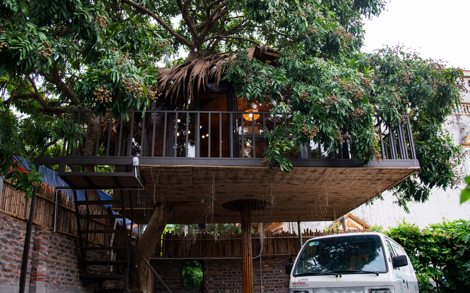 Chiêm ngưỡng ngôi nhà trên cây độc đáo ở ngoại thành Hà Nội
