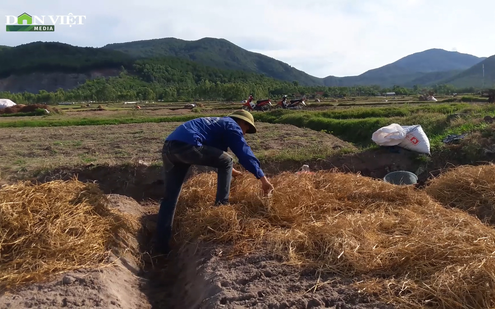 Hà Tĩnh: Nông dân Vượng Lộc tất bật vào vụ hành tăm mới