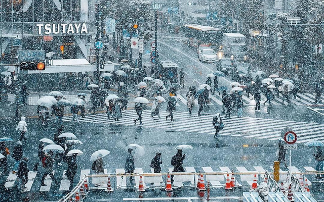 Tuyết rơi dày những ngày đầu năm, Tokyo đẹp huyền ảo hiếm thấy