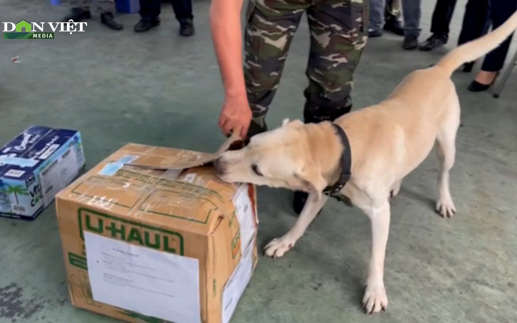 Clip: Chó nghiệp vụ cào, sủa vang trước kiện hàng giấu ma túy gửi từ nước ngoài về Việt Nam