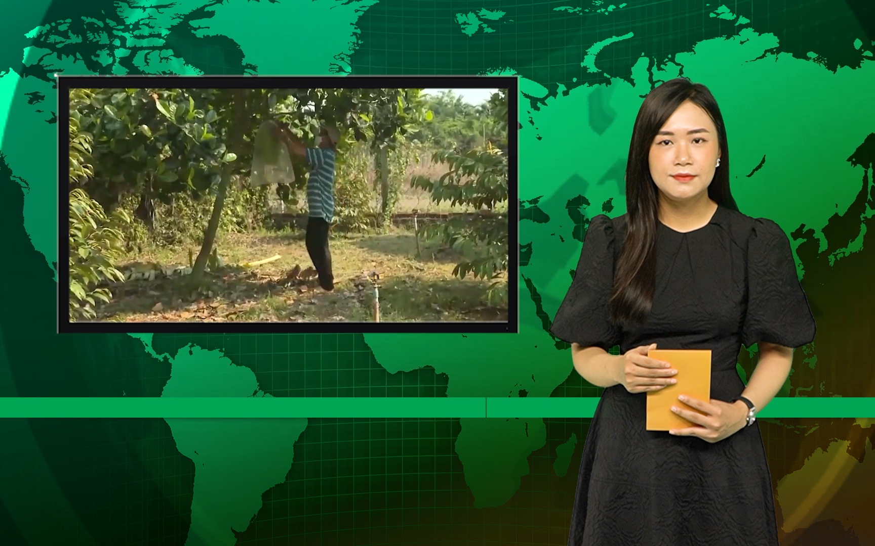 Bản tin Dân Việt Nóng ngày 16/11: Nông dân ồ ạt trồng cây ăn quả, ngành chức năng Bà Rịa-Vũng Tàu khuyến cáo 