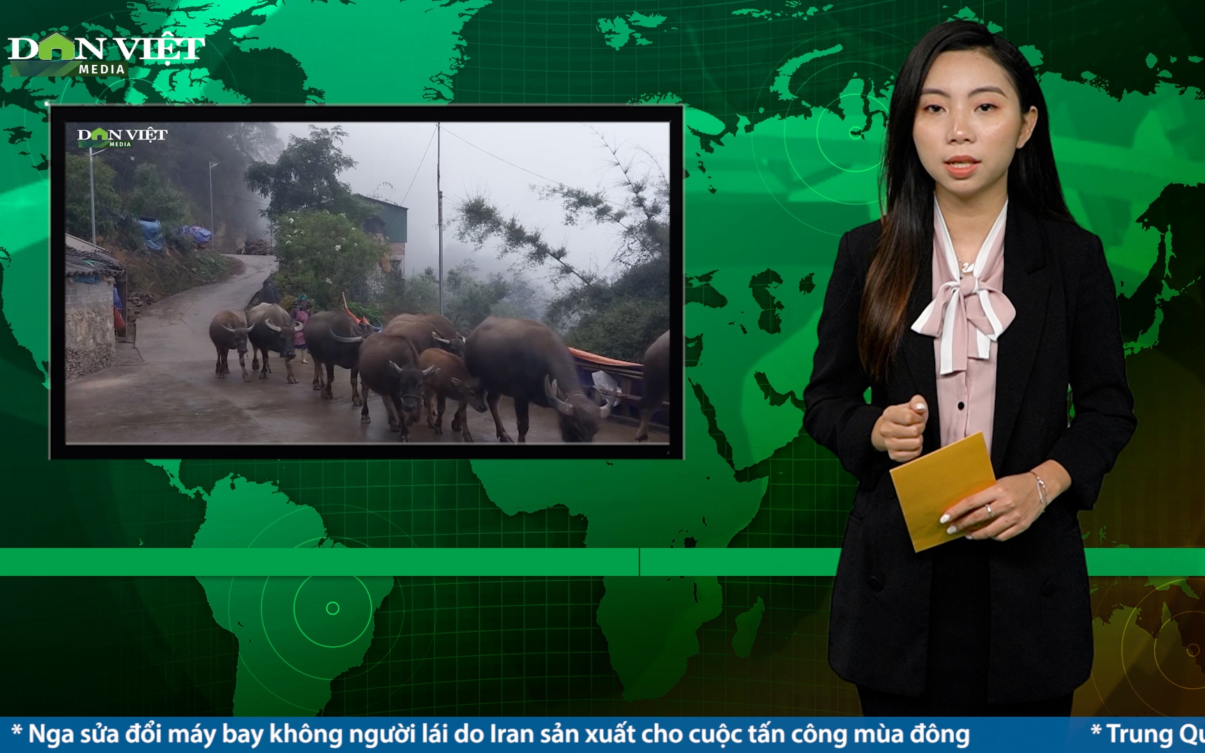 Bản tin Dân Việt Nóng ngày 9/12: Vùng cao Lào Cai ra sức bảo vệ đàn vật nuôi trước giá rét