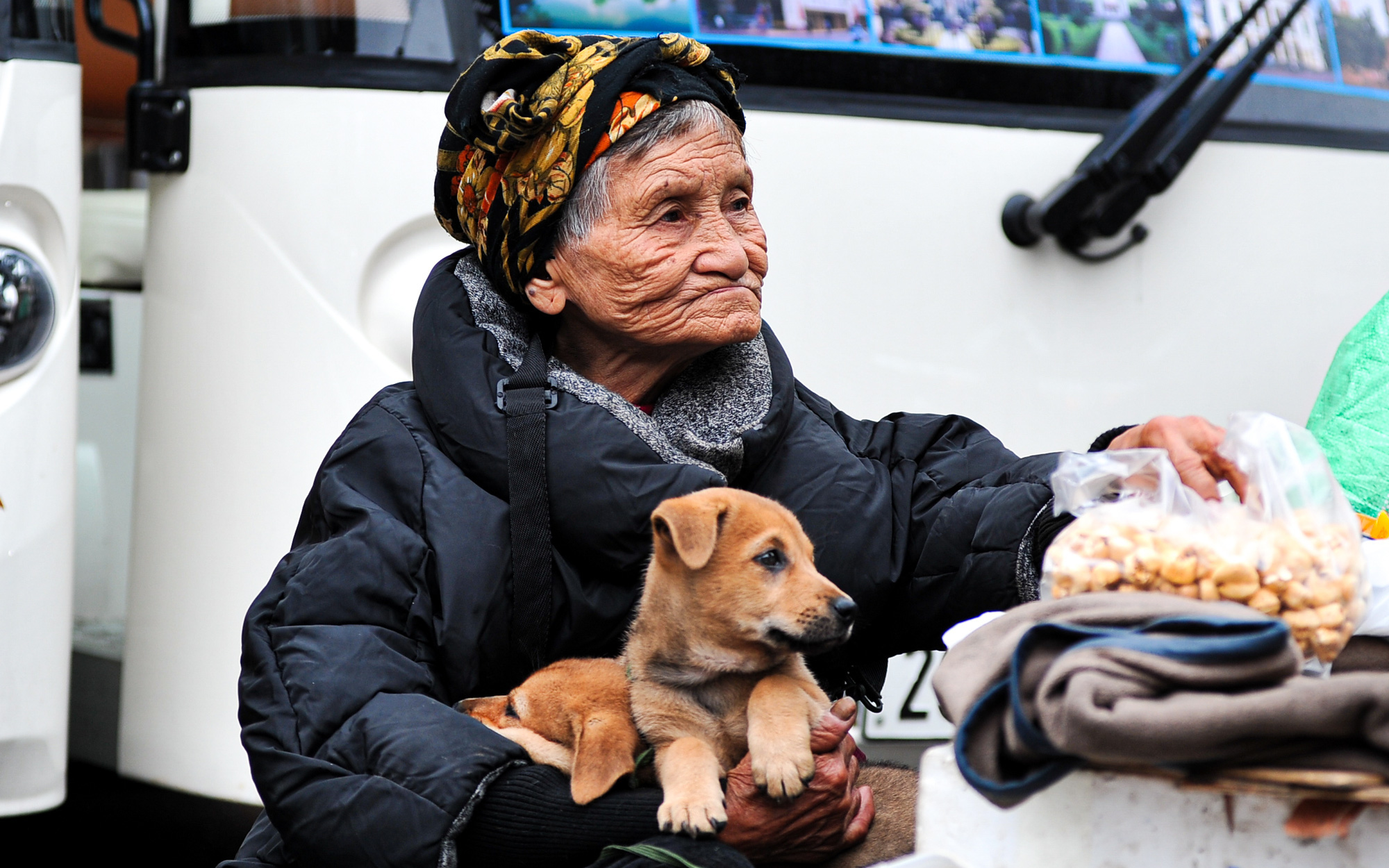 Cụ bà 102 tuổi ở Hà Nội mưu sinh trong lạnh giá cùng đàn chó cưng