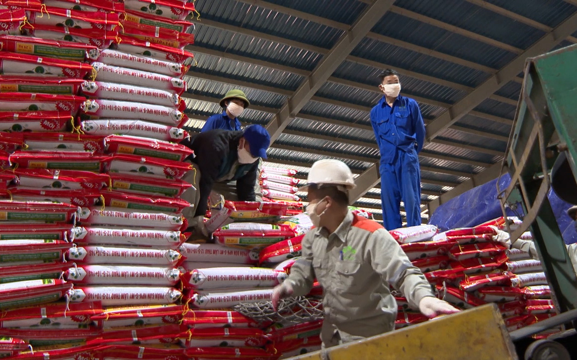 Khai xuân Nhâm Dần, hơn 1.000 tấn sản phẩm gì cho người nông dân đã được bán hết veo?
