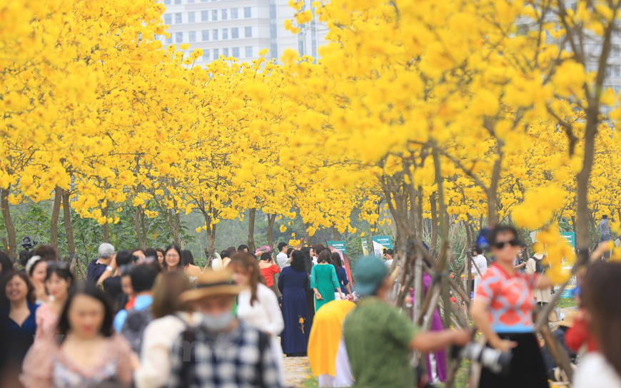 Người dân chen chúc nhau chụp ảnh trước ngày đường hoa Phong Linh bất ngờ đóng cửa