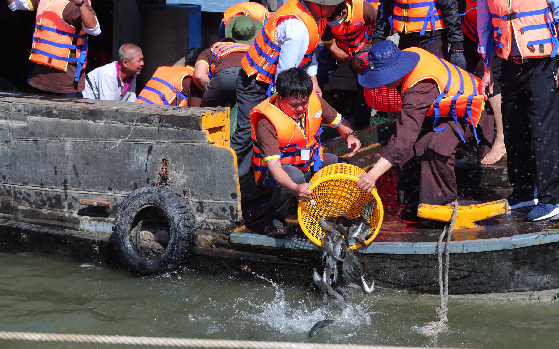Vĩnh Long: Hơn 30 tấn cá được thả xuống dòng sông Tiền