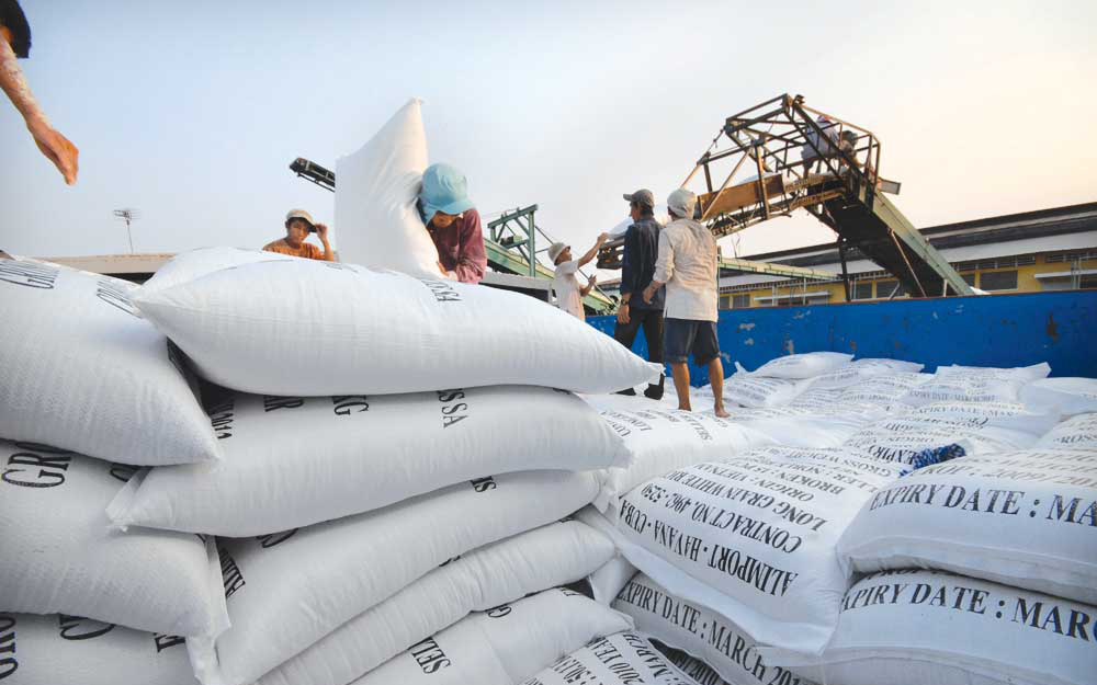 Tin vui về giá gạo xuất khẩu của Việt Nam