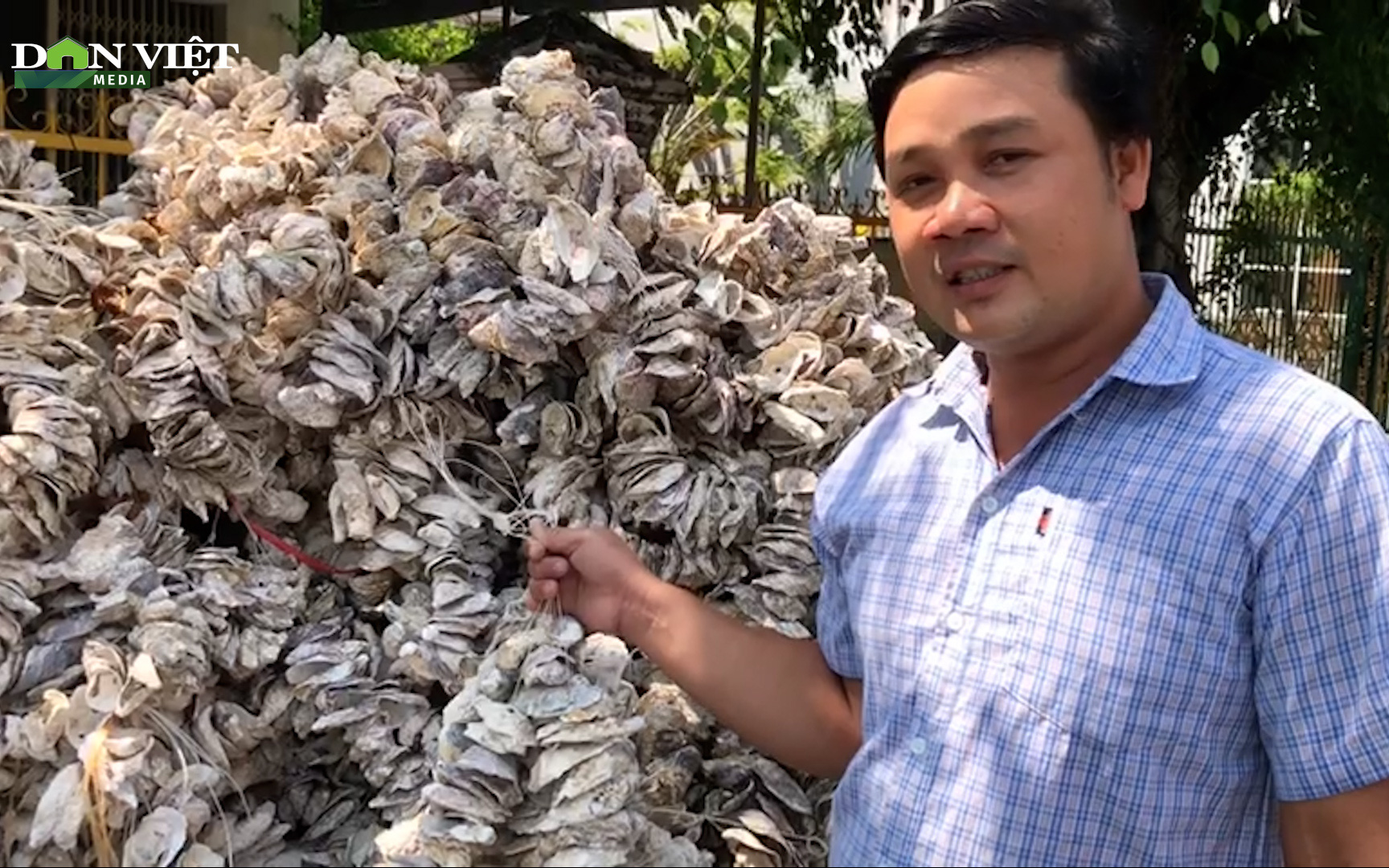 Độc đáo dùng giá thể nuôi hàu ở Khánh Hòa