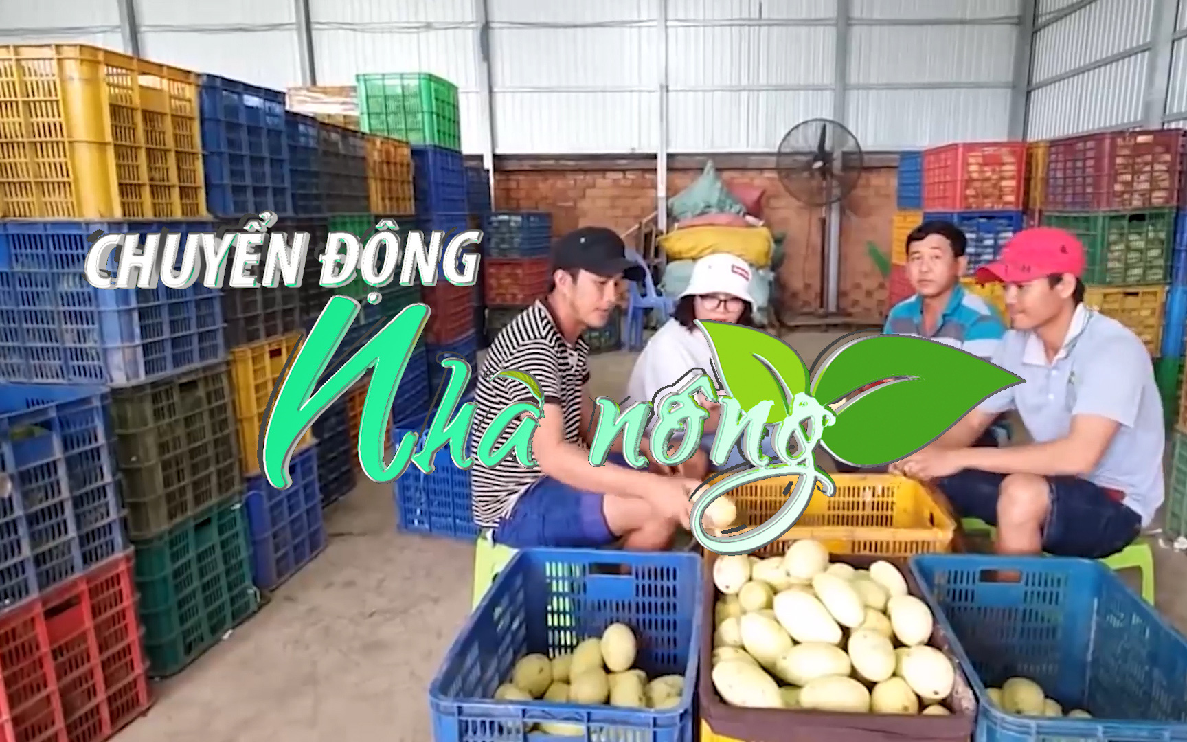 Chuyển động Nhà nông 3/4: Cơ hội cho nhiều loại trái cây Việt xuất khẩu sang Iran