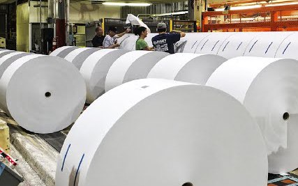 Quy trình thu hoạch gỗ và sản xuất hàng triệu tấn giấy trong nhà máy