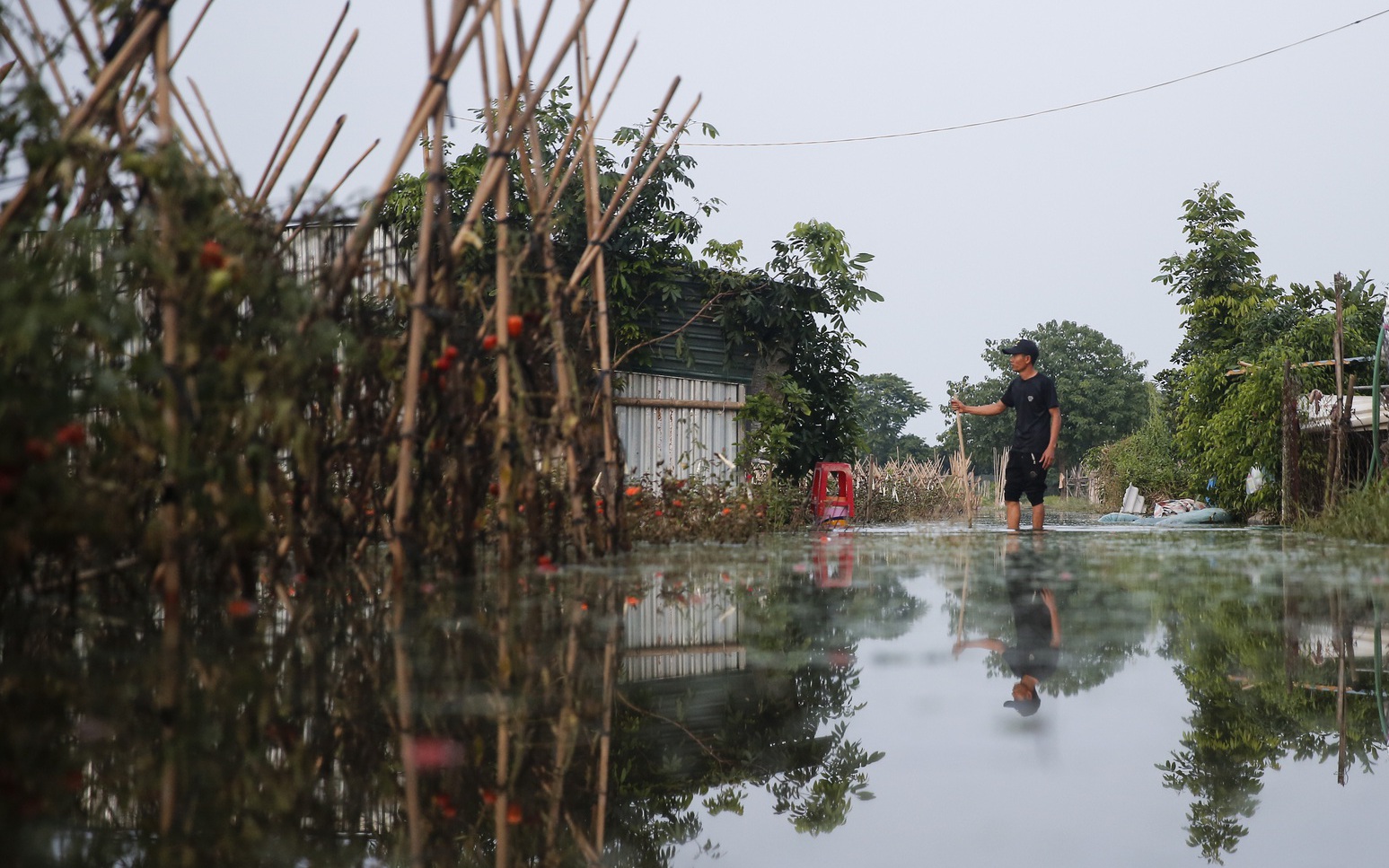 Nông dân ngoại thành Hà Nội khốn khổ vì nước ngập tàn phá hoa màu 4 ngày không rút