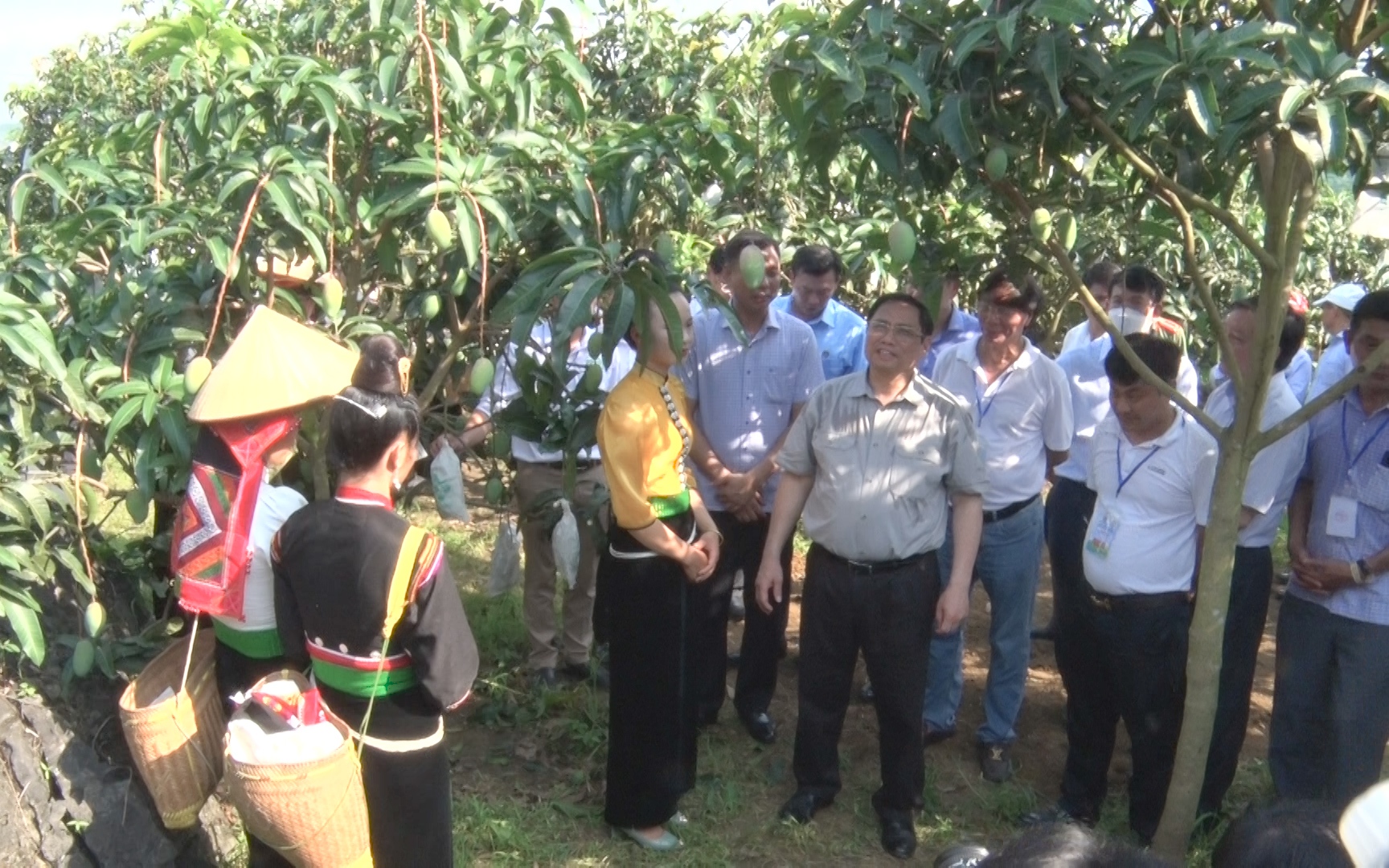 Video: Thủ tướng Phạm Minh Chính thăm mô hình trồng xoài, trung tâm chế biến rau quả ở Sơn La
