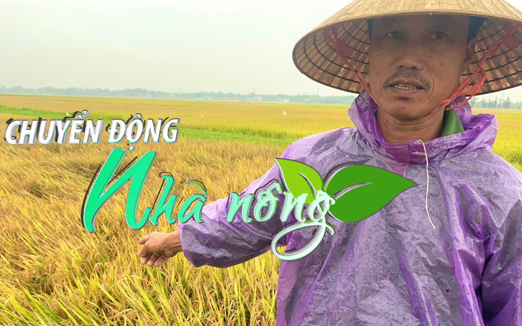 Chuyển động Nhà nông 3/5: Mưa lớn khiến hơn 2.700 ha lúa ở Quảng Bình bị ngập, ngã đổ