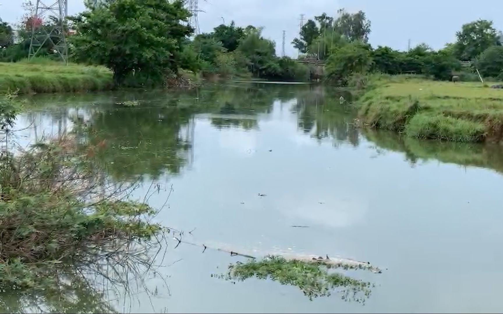 Quá nhiều đơn vị xả thải, khó xác định nguyên nhân cá chết ở sông Bàu Giang