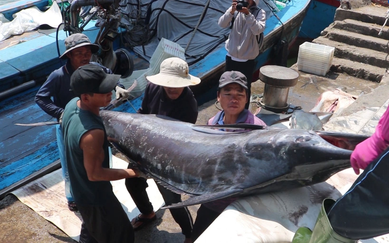 Quảng Ngãi: Ngư dân Phổ Quang kiên trì 