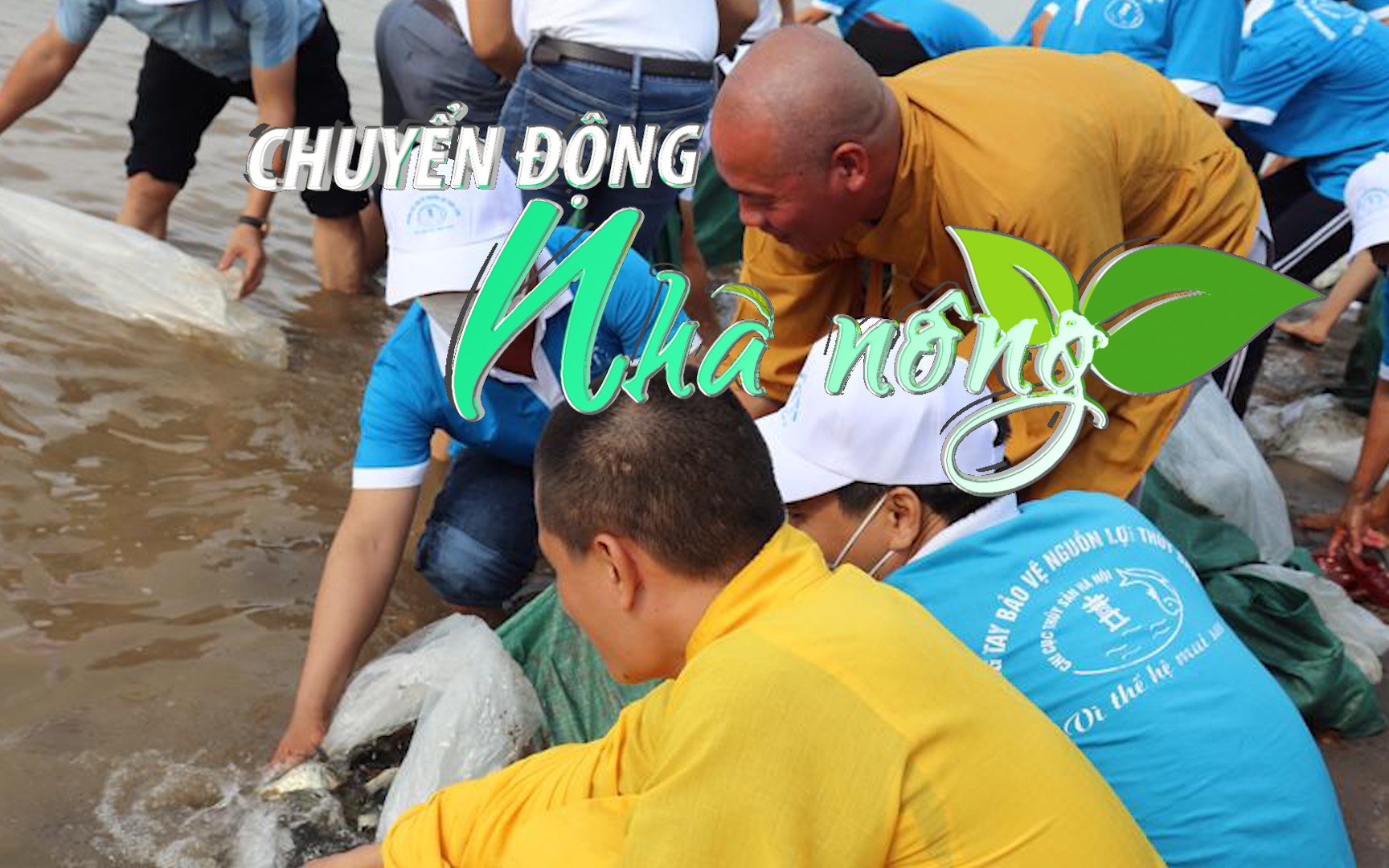 Chuyển động Nhà nông 30/7: Hà Nội thả 10.000 con cá giống tái tạo nguồn lợi thủy sản