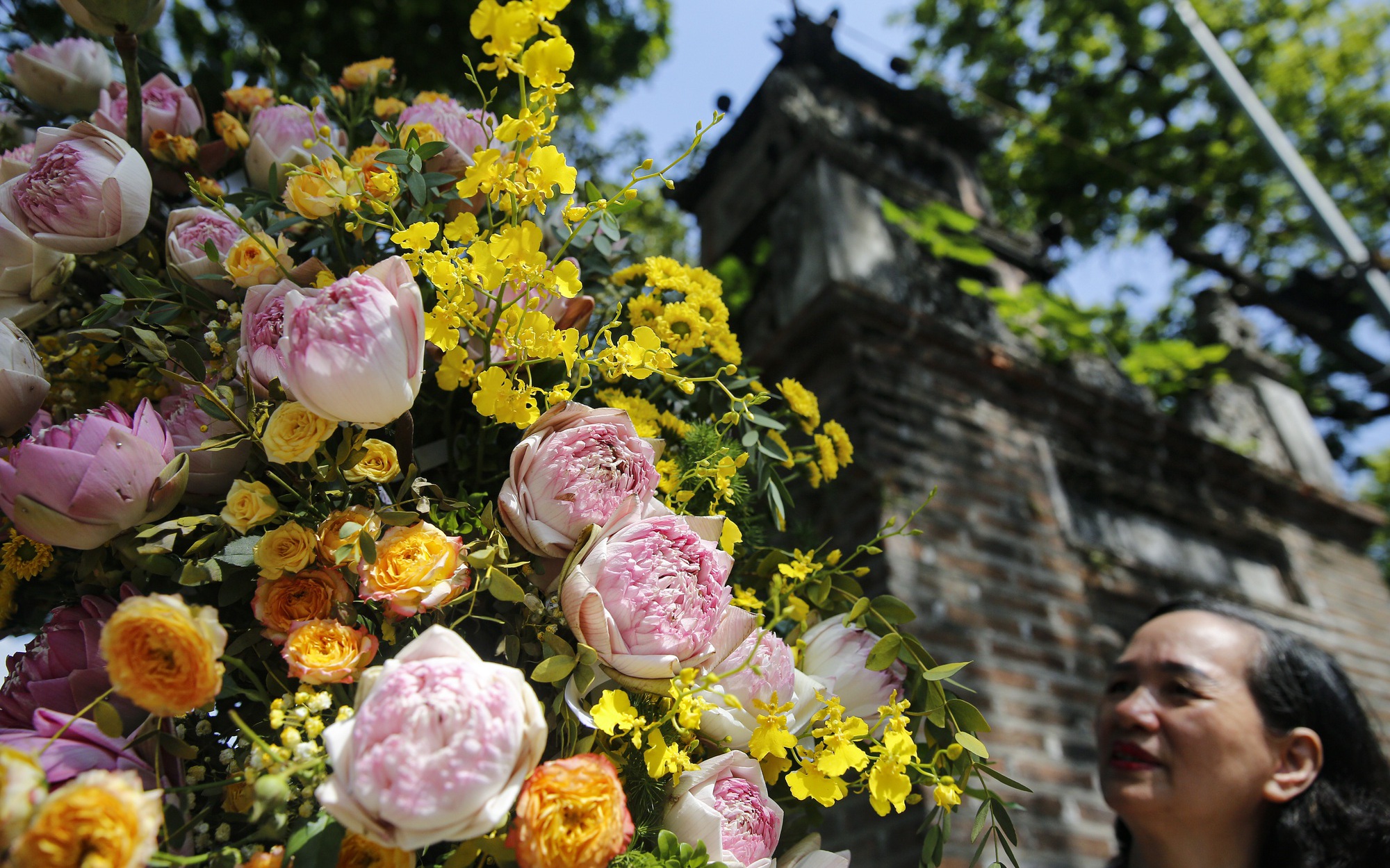 Hàng nghìn bông hoa sen tươi thắm nở rộ khắp phố đi bộ hồ Gươm 