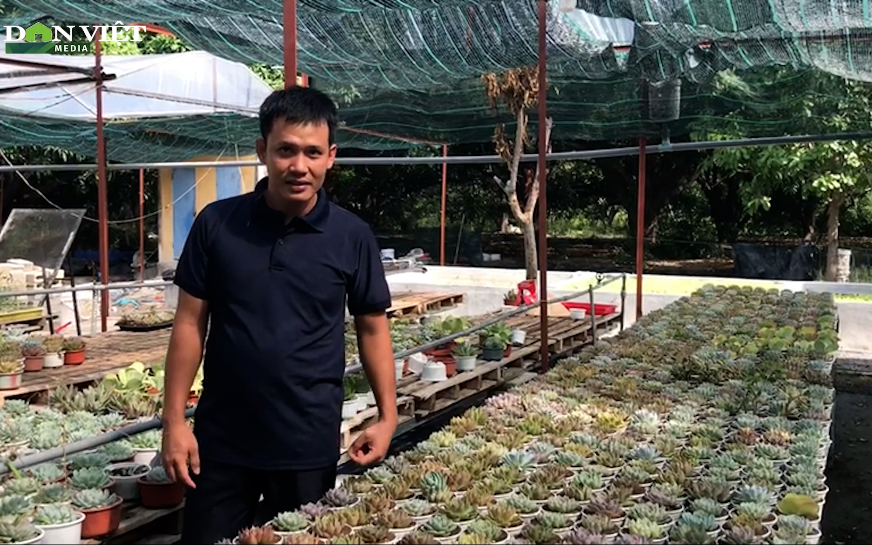 Khánh Hòa: Trồng hàng ngàn chậu sen đá, vợ chồng 9X lãi hơn 30 triệu mỗi tháng