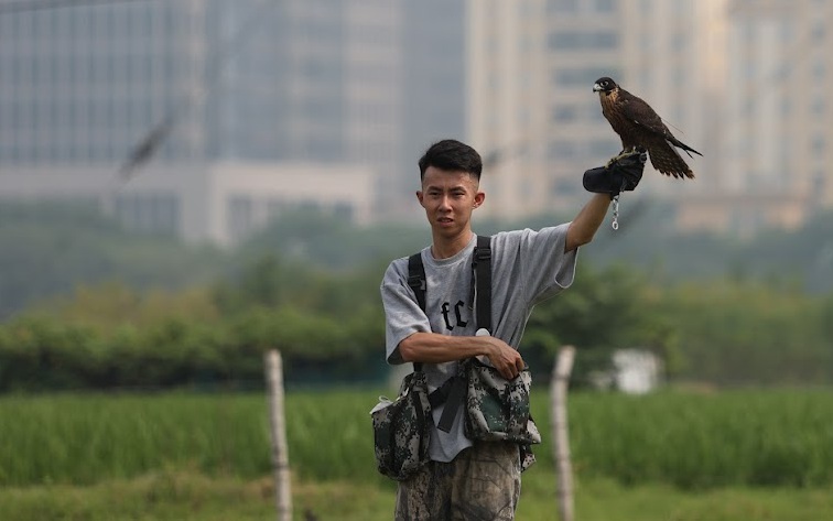 Video: Dùng flycam, định vị GPS huấn luyện chim săn mồi - thú chơi đắt đỏ của giới trẻ Hà Nội