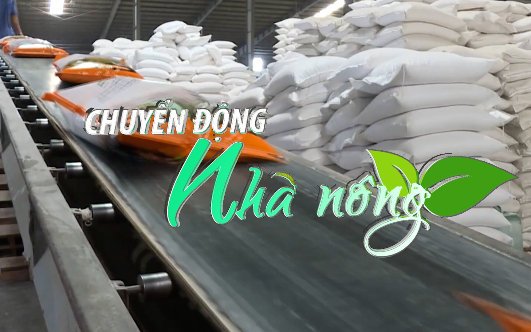 Chuyển động Nhà nông 11/9: Khuyến nghị doanh nghiệp Việt đàm phán lại hợp đồng xuất khẩu gạo với Ấn Độ