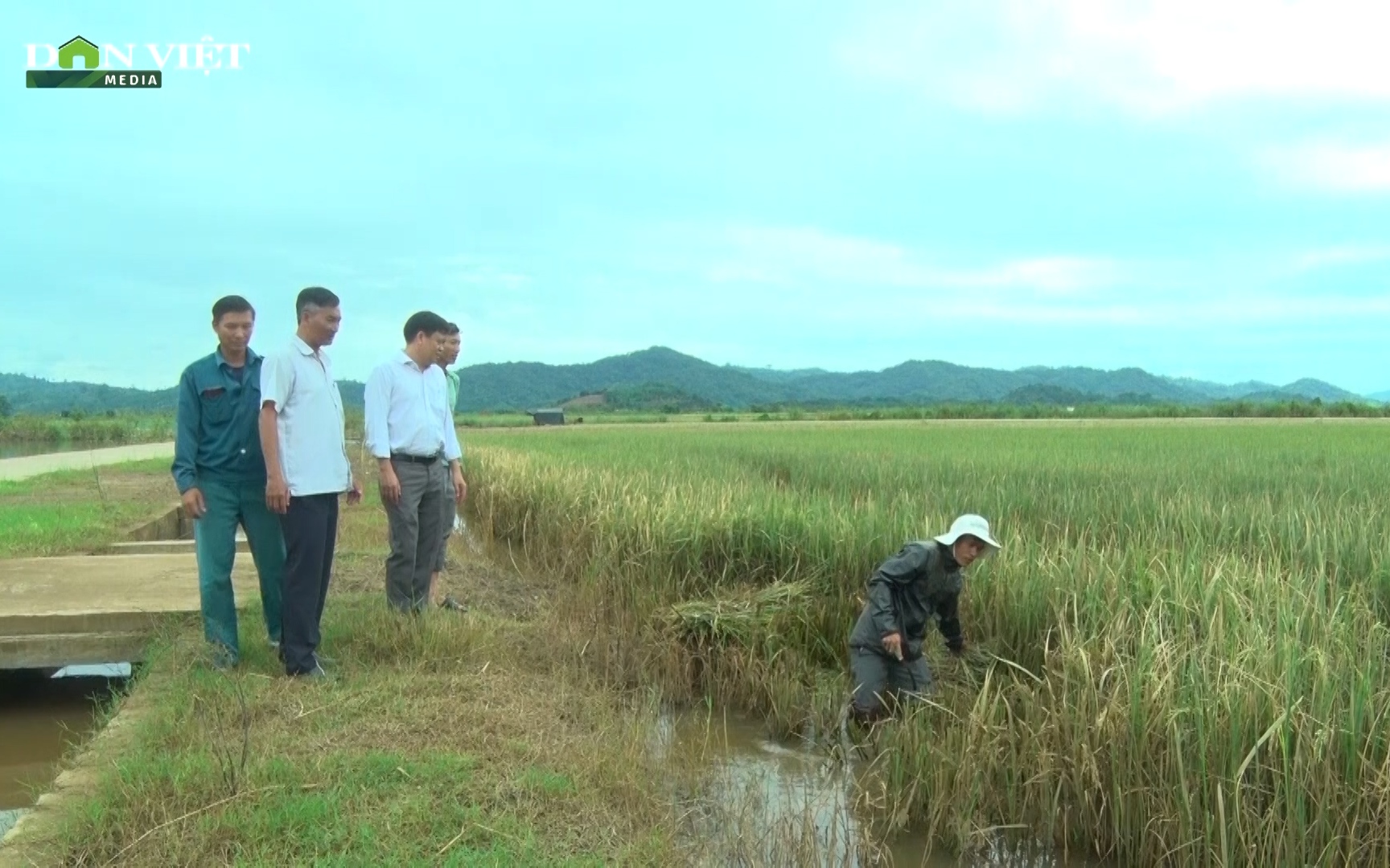Hàng ngàn ha lúa ngập úng, hàng ngàn nông dân Đắk Lắk trắng tay sau lũ