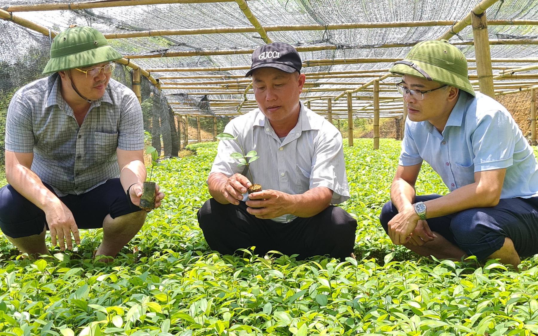 Nông dân Việt Nam xuất sắc 2022 ở Yên Bái: Từ người bị coi là 
