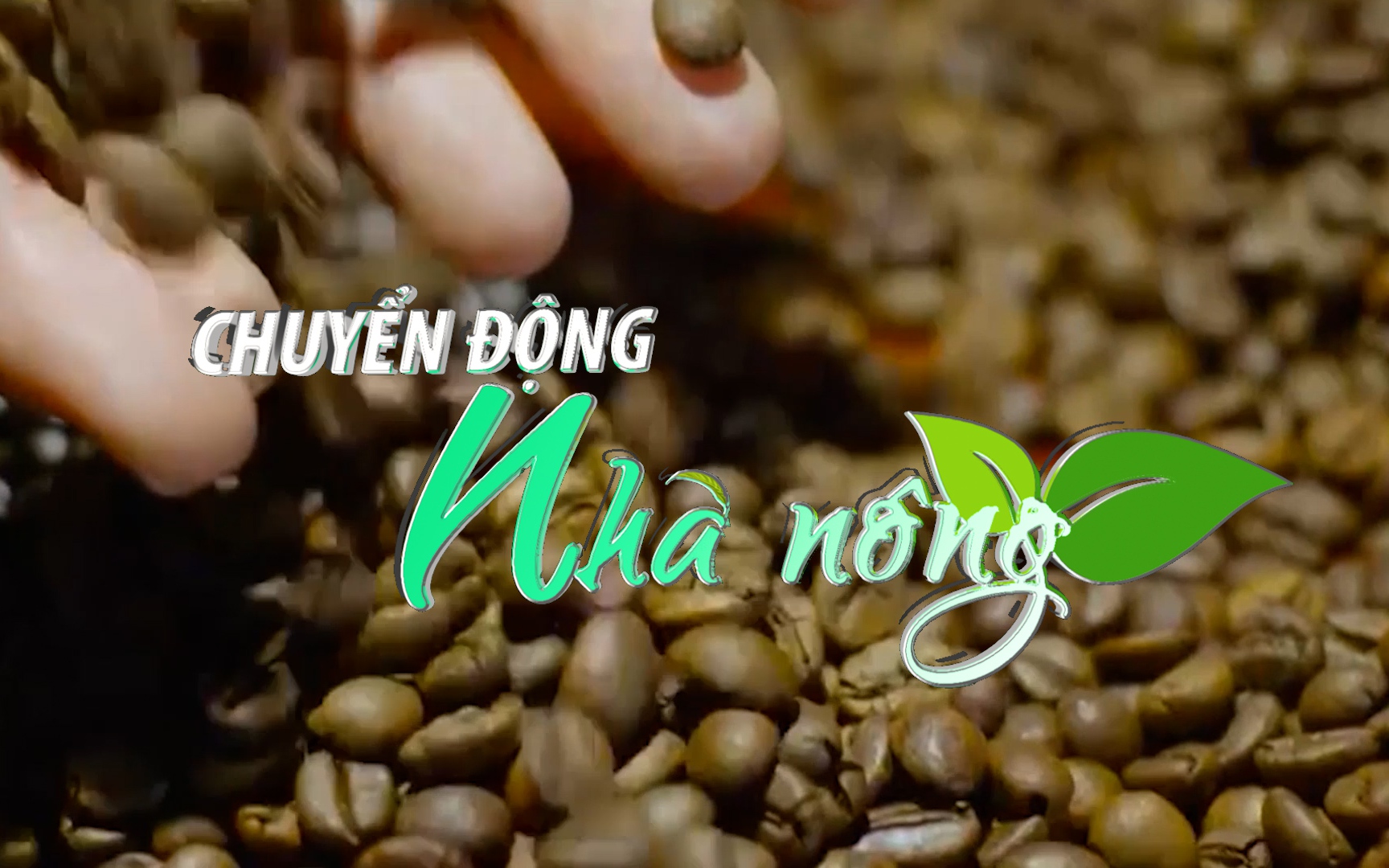 Chuyển động Nhà nông 16/9: Xuất khẩu cà phê Việt Nam đứng thứ hai thế giới