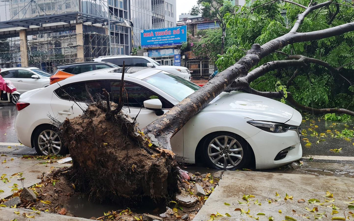 Hà Nội mưa chưa đầy 30 phút, cây đã đổ đè ôtô và ngập