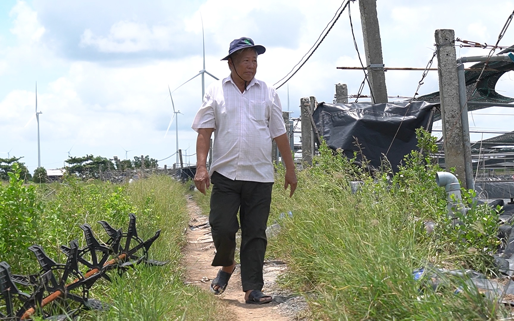 Nông dân SXKD giỏi toàn quốc lần thứ VI: Tăng Văn Xúa, người nông dân miệt vườn với những đóng góp xã hội to lớn