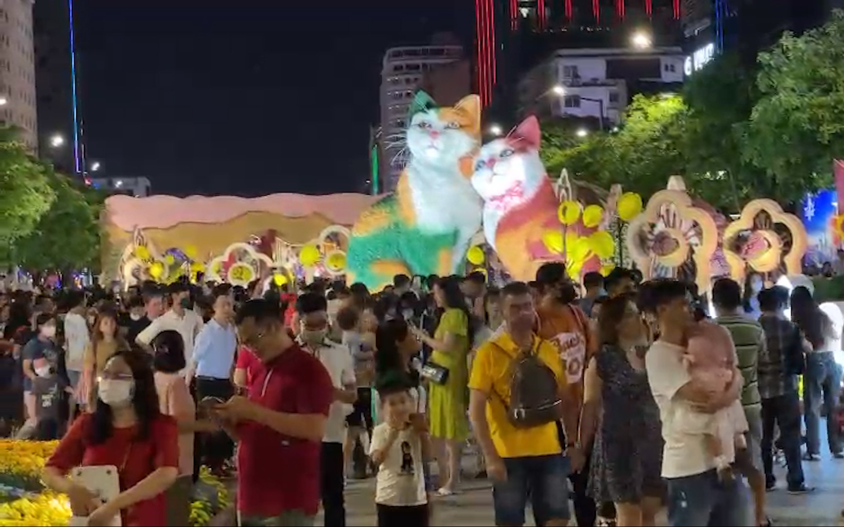 Hàng trăm người xếp hàng, chờ nhiều giờ để ngắm, chụp ảnh với linh vật mèo tại Đường hoa Nguyễn Huệ