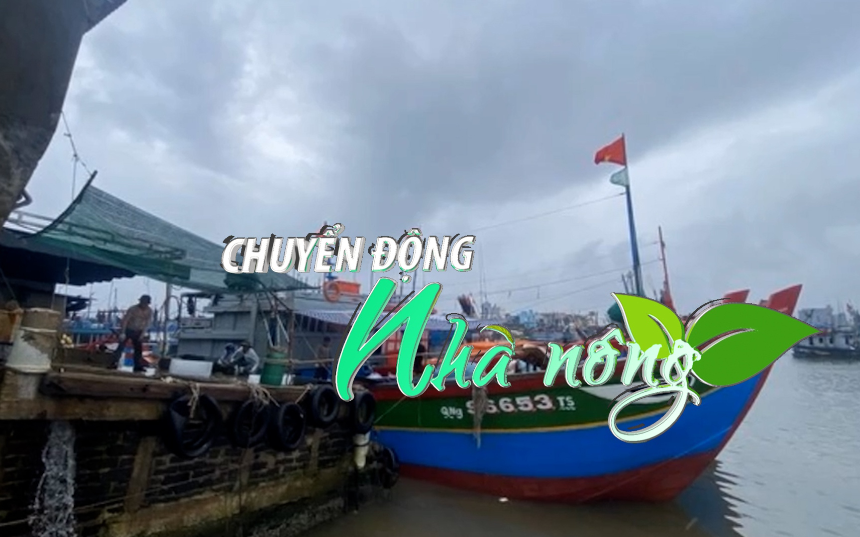 Chuyển động Nhà nông 21/1: Ngư dân Quảng Ngãi vươn khơi đánh bắt xuyên Tết