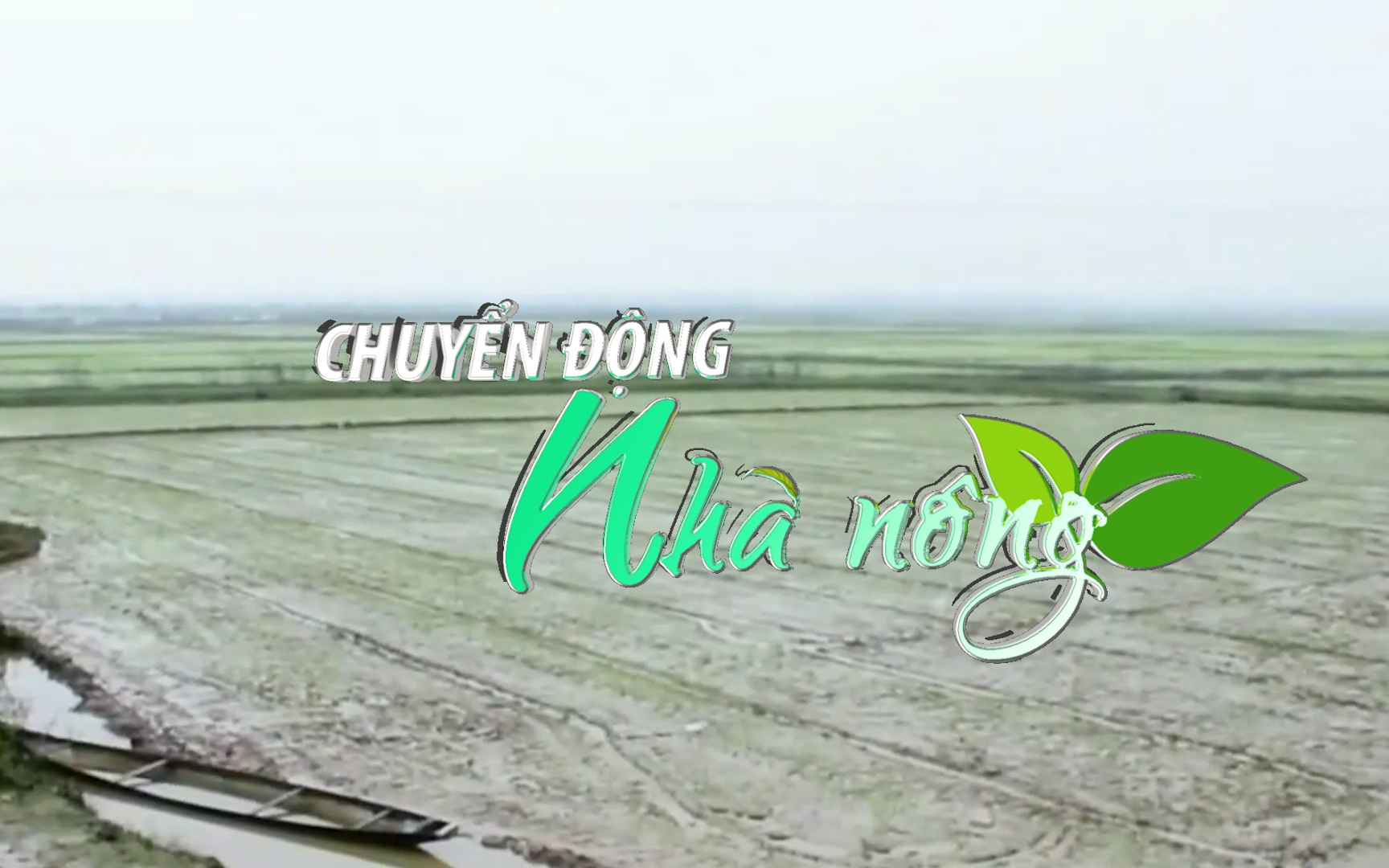 Chuyển động Nhà nông 29/1: Thừa Thiên – Huế tập trung tiêu úng cứu hàng nghìn ha lúa mới gieo