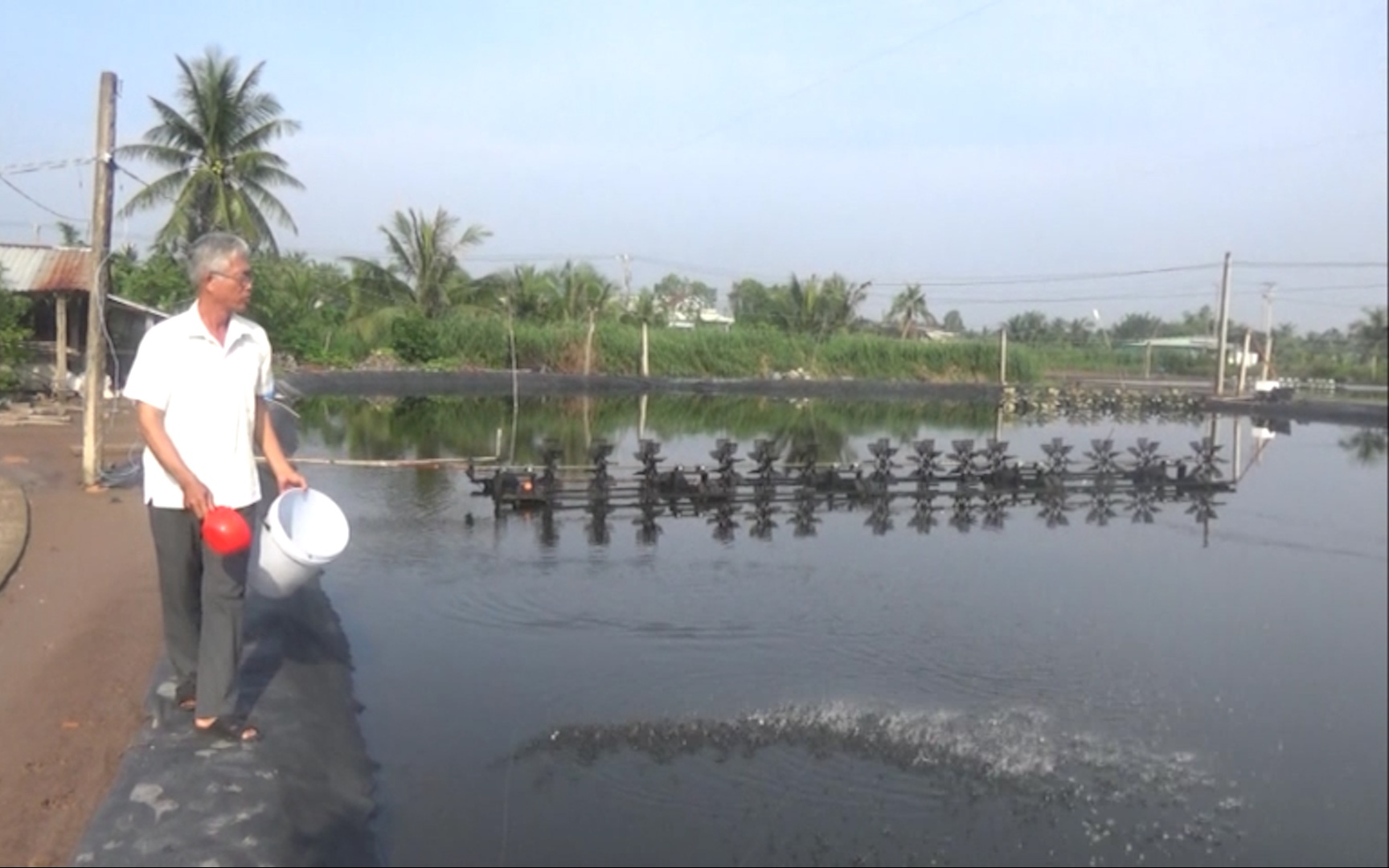 Nuôi tôm trên đất phèn nước mặn, một Nông dân Việt Nam xuất sắc 2023 ở Bến Tre thu chục tỷ mỗi năm