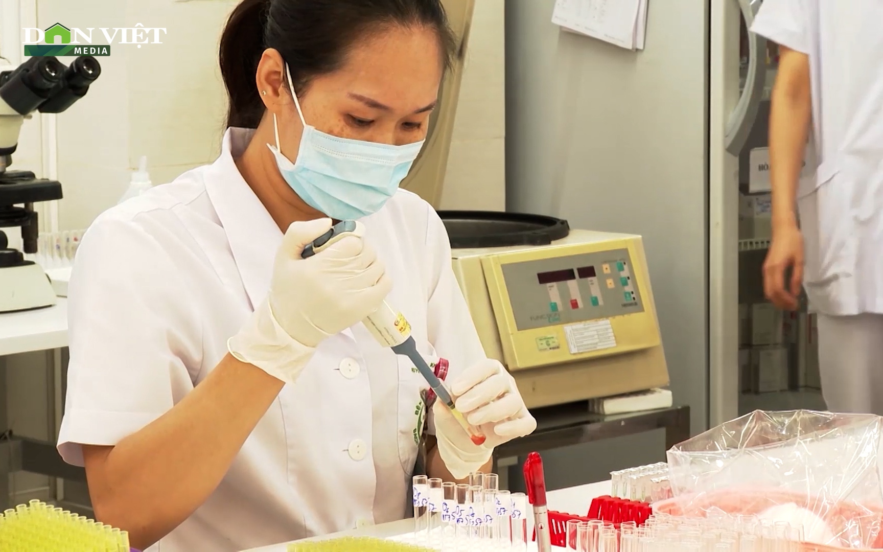 Video: Ghép tế bào gốc điều trị các bệnh máu giúp hàng trăm bệnh nhân được “hồi sinh”