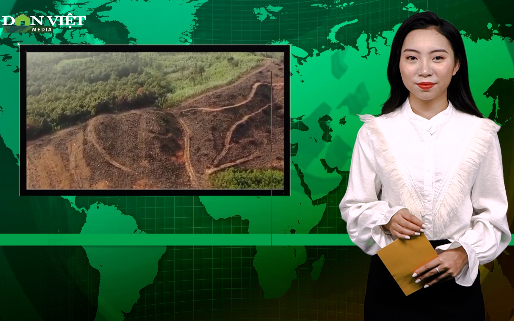 Bản tin Dân Việt Nóng 5/3: Rừng thông hơn 40 năm tuổi ở Nghệ An bị đốn hạ