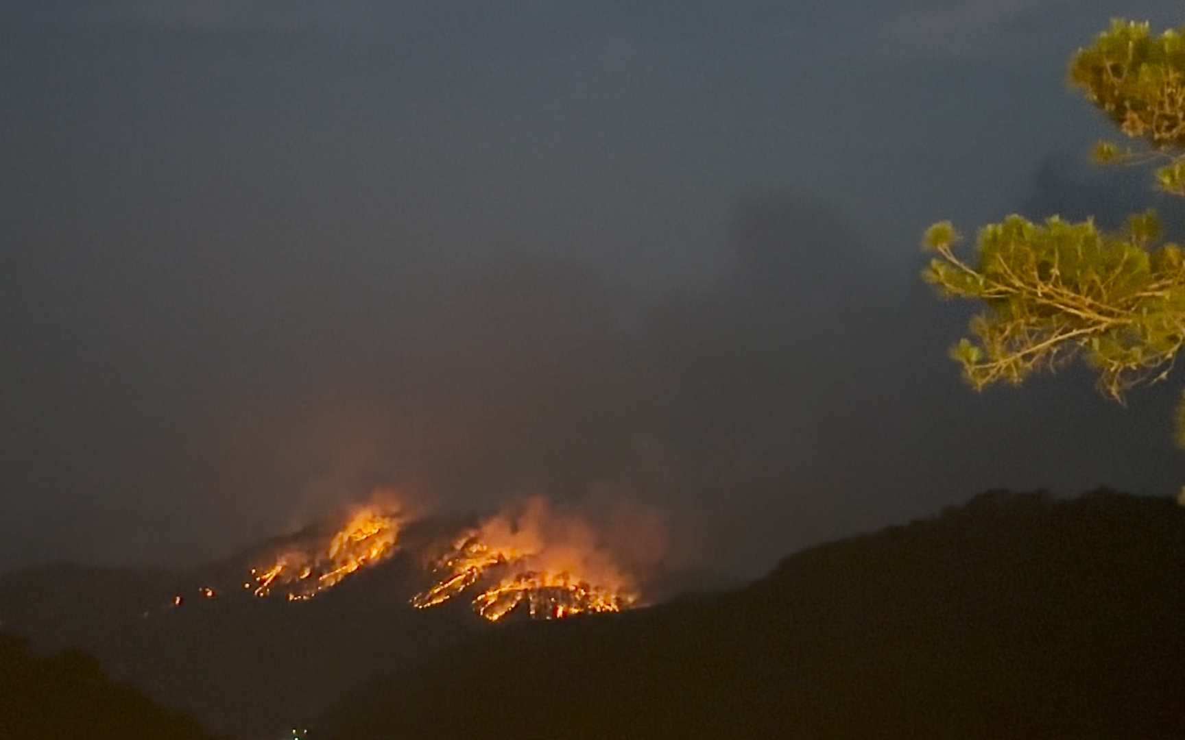 10 hecta rừng bị ảnh hưởng trong vụ cháy rừng thông ở đèo Prenn