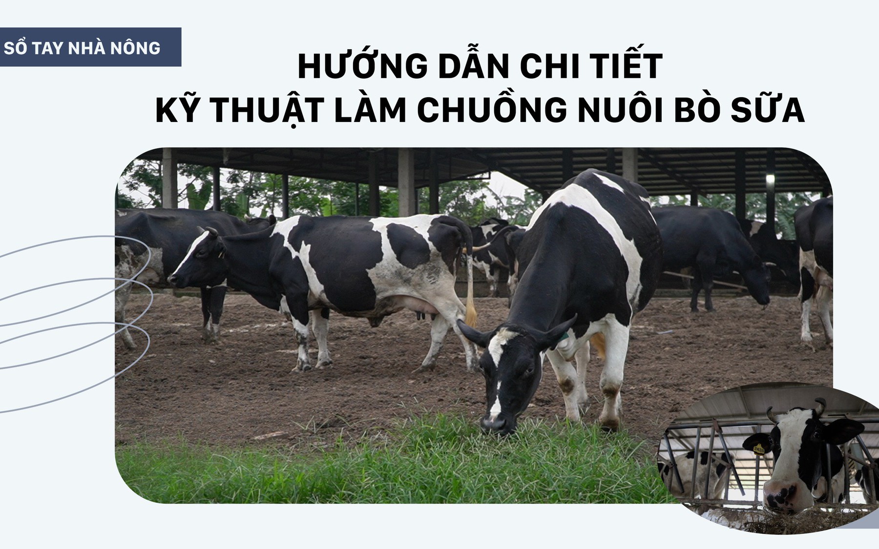 SỔ TAY NHÀ NÔNG: Hướng dẫn kỹ thuật làm chuồng nuôi bò sữa