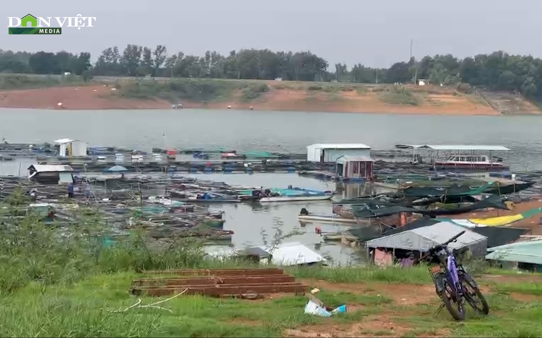 Đồng Nai: Hàng vạn cá giống chết sạch vì hồ Trị An cạn nước, người nuôi cá bè lâm cảnh khổ