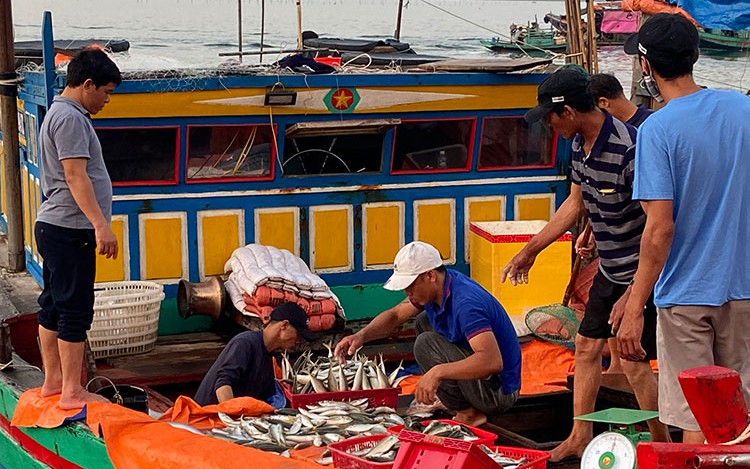 Sản lượng đánh bắt thủy sản 6 tháng đầu năm của Hà Tĩnh đạt hơn 27 nghìn tấn, ngư dân phấn khởi