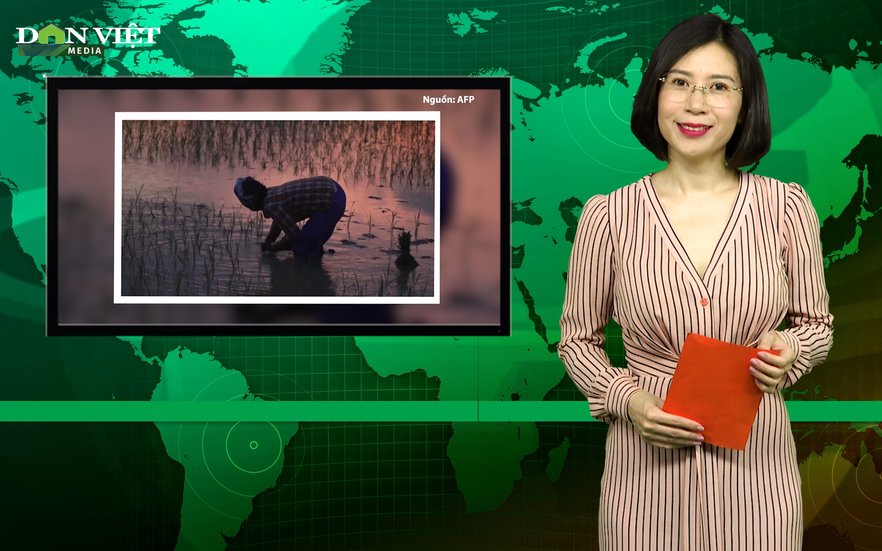 Bản tin Dân Việt Nóng 5/7: Hình ảnh nông dân Việt Nam cấy lúa đêm xuất hiện trên kênh truyền hình AFP của Pháp