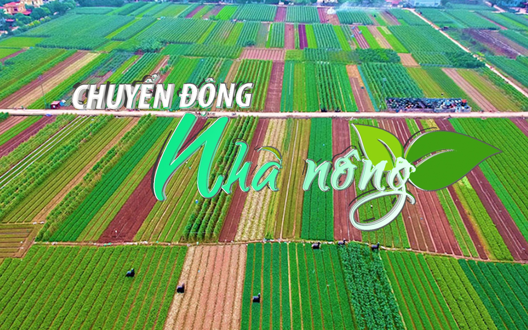 Chuyển động Nhà nông 9/7: Hà Nội phấn đấu dẫn đầu cả nước trong phát triển nông nghiệp công nghệ cao