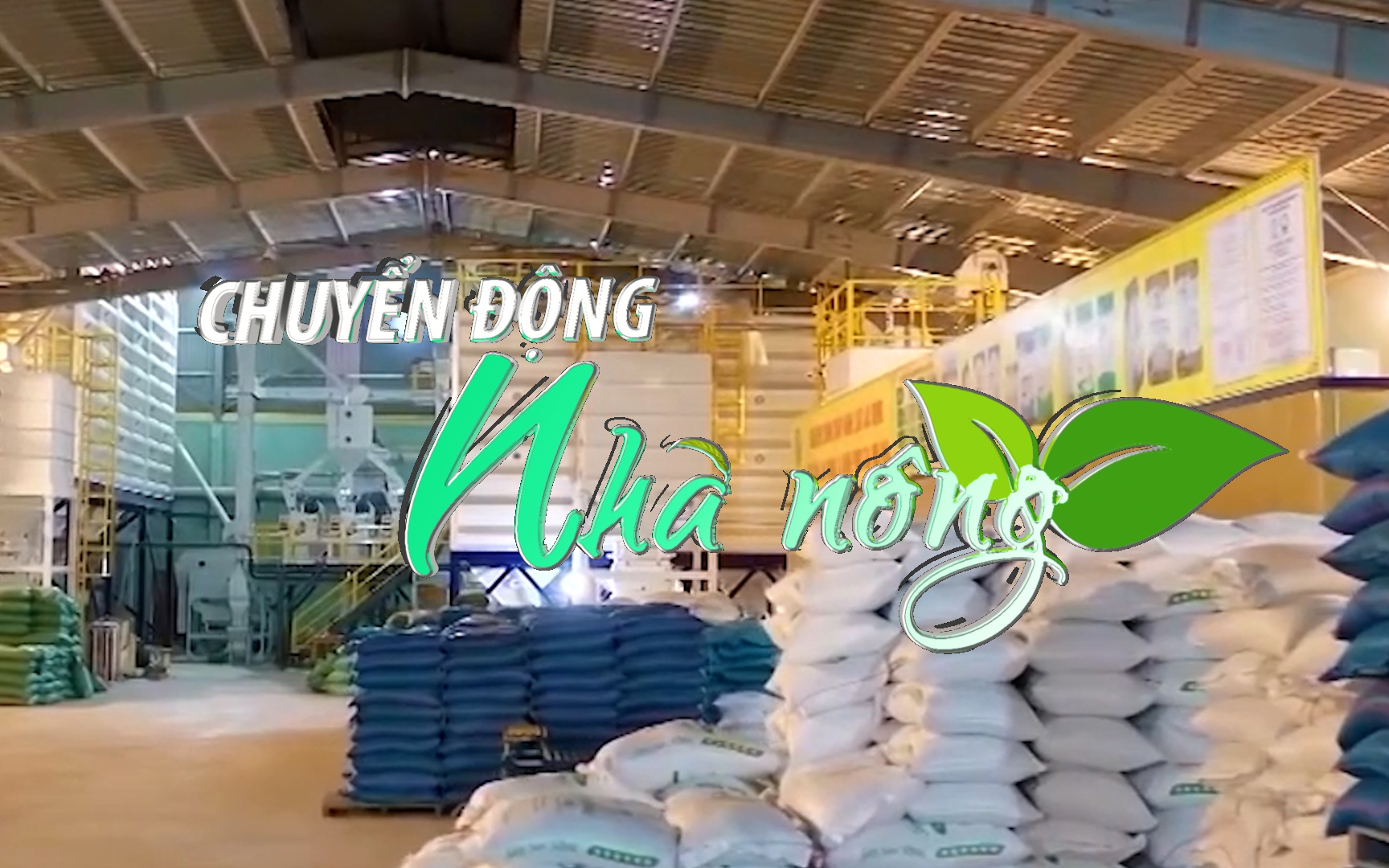 Chuyển động Nhà nông 19/8: Thanh Hóa ngăn chặn tình trạng thao túng thị trường cung ứng gạo