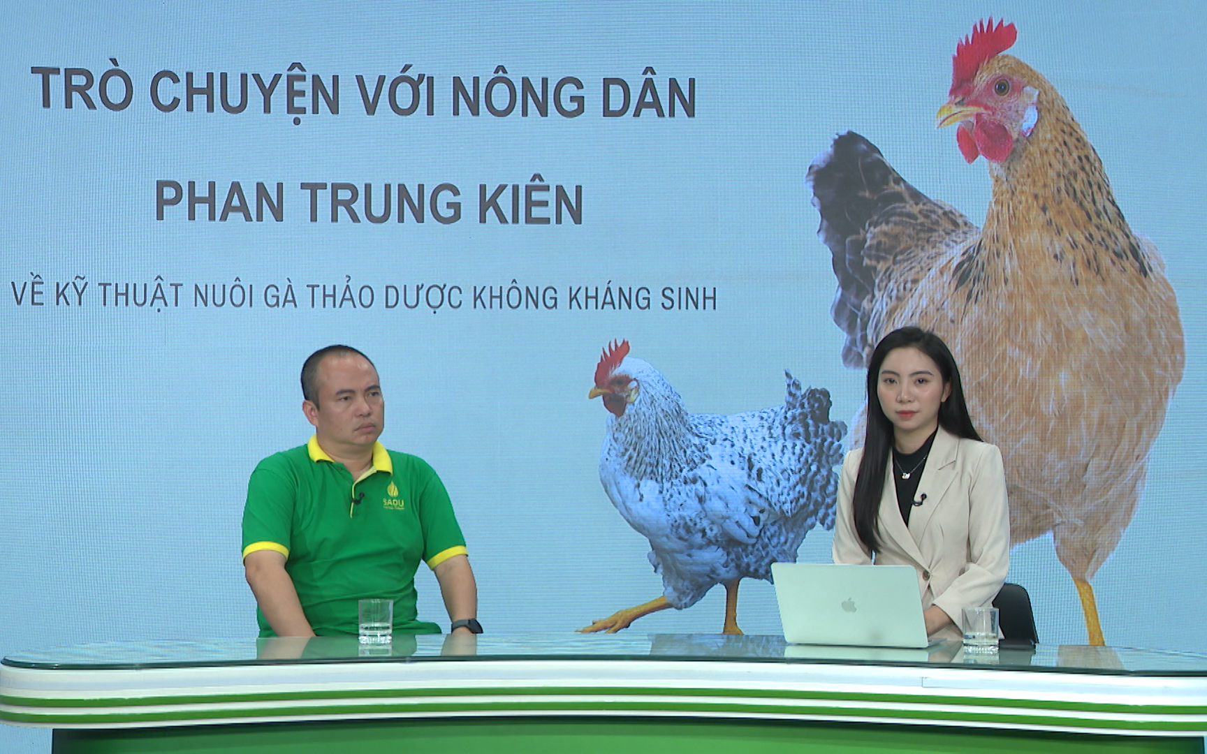 GÓC CHUYÊN GIA: Kỹ thuật xây chuồng nuôi gà thảo dược không kháng sinh