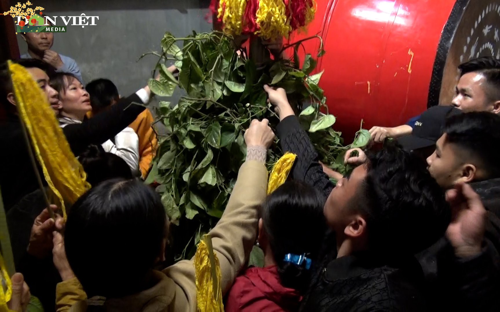 Video: Dòng người chen lấn ở hội Gióng để xin lộc hoa tre