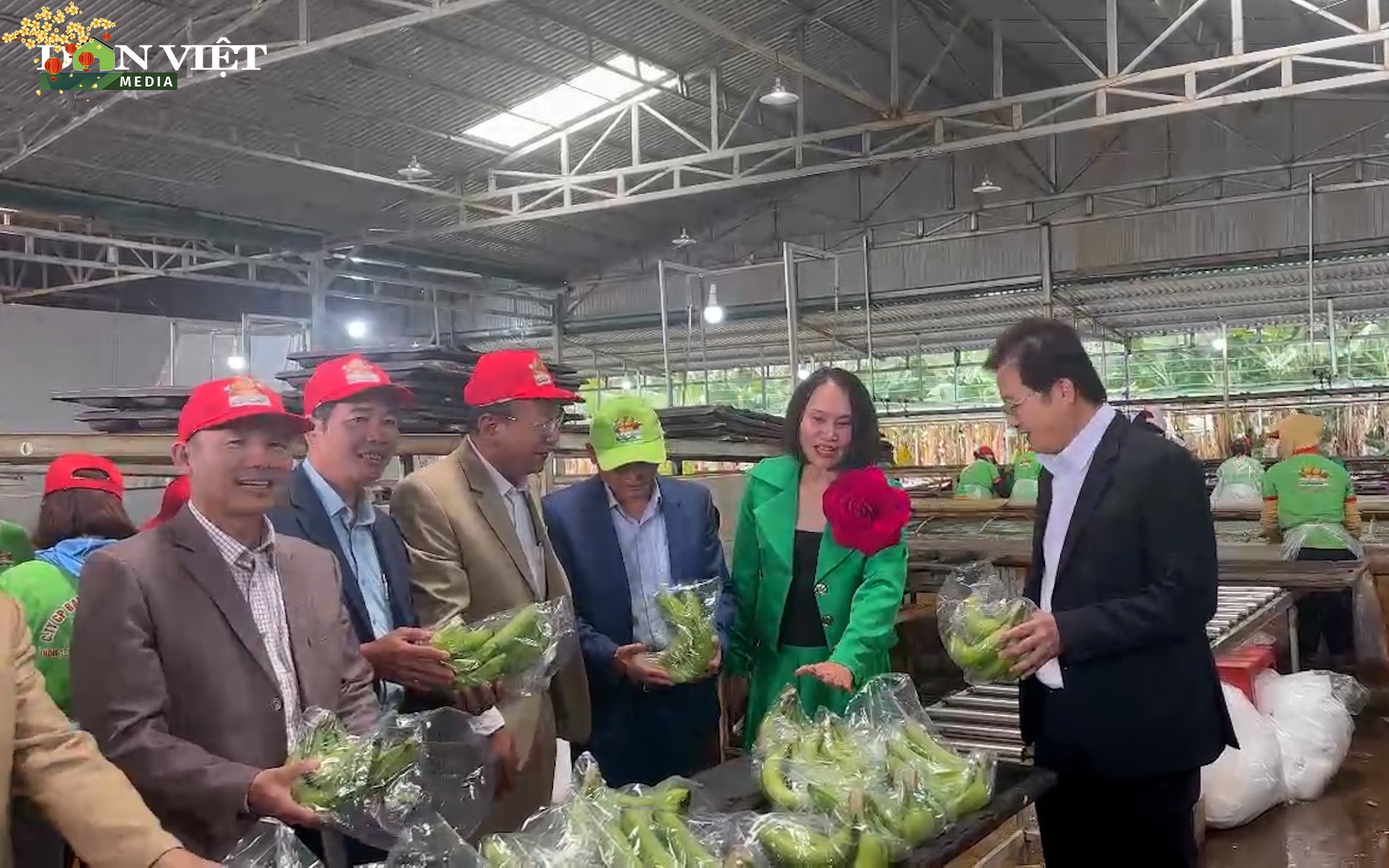Đắk Lắk: Xuất khẩu chính ngạch 3 container chuối đầu tiên mở hàng năm mới Giáp Thìn 2024